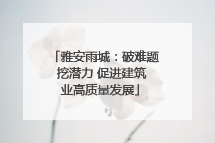 雅安雨城：破难题 挖潜力 促进建筑业高质量发展